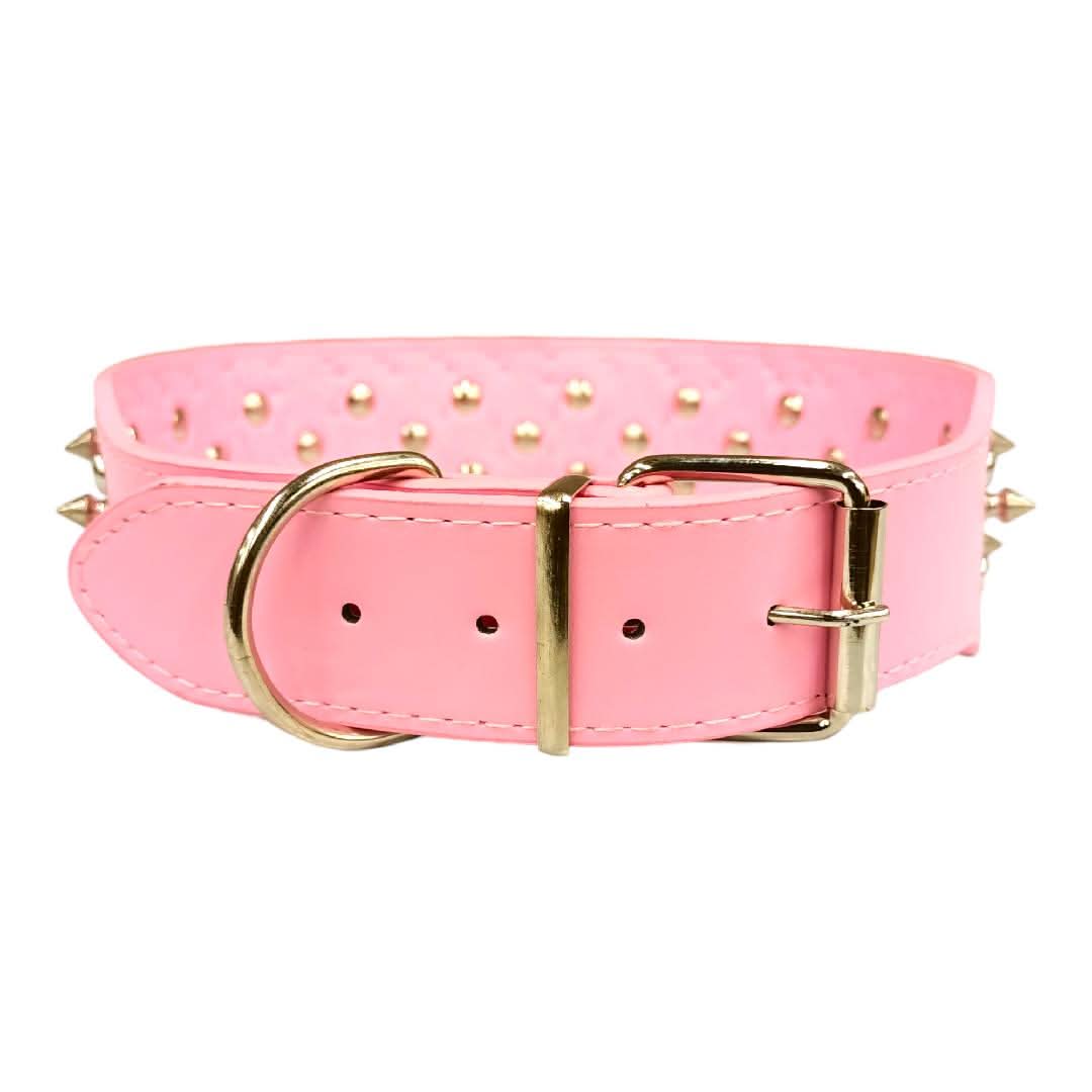 CT2853 1 Pieza De Collar Para Mascota