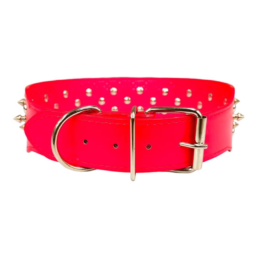 CT2853 1 Pieza De Collar Para Mascota