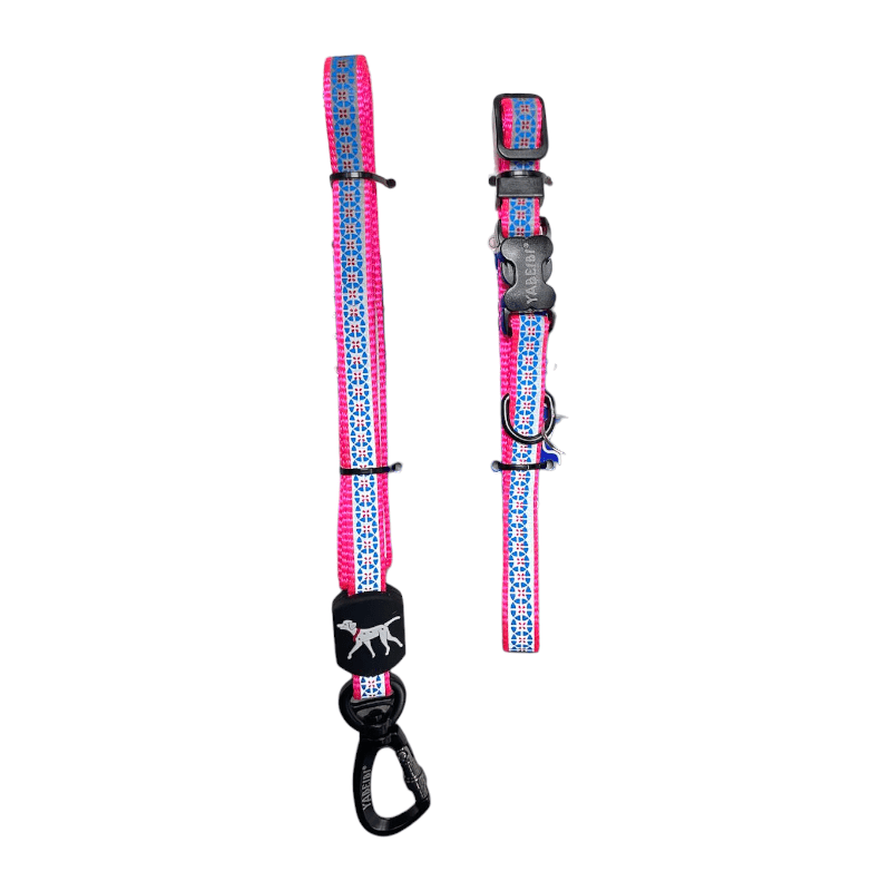CT2922 1 Pieza De Collar Con Correa Para Mascota