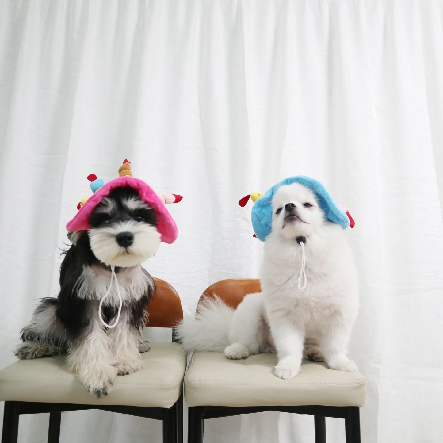CT3188 1 Pieza De Gorra Para Mascota