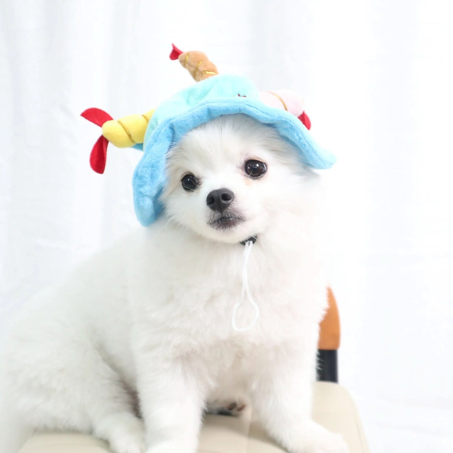 CT3188 1 Pieza De Gorra Para Mascota