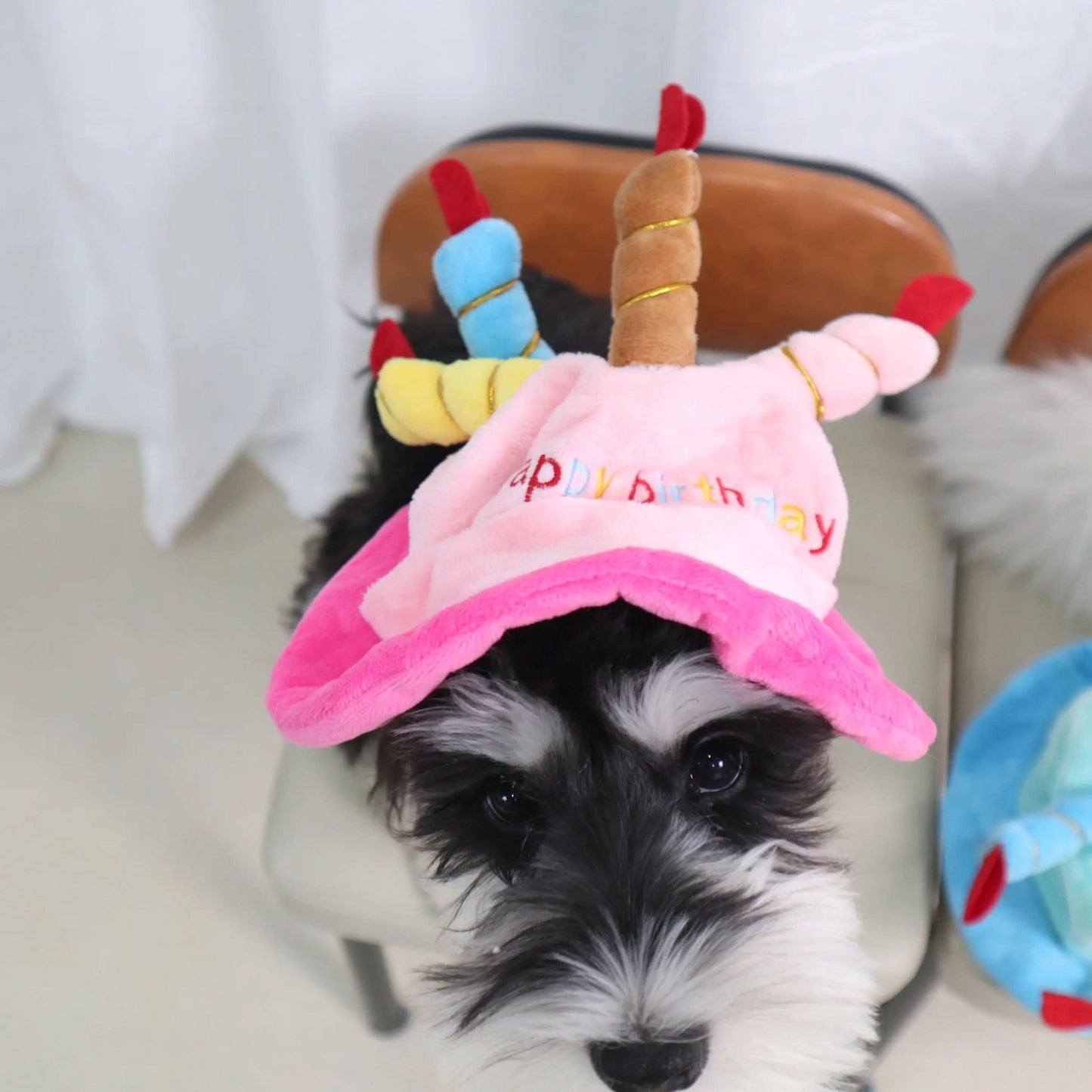 CT3188 1 Pieza De Gorra Para Mascota