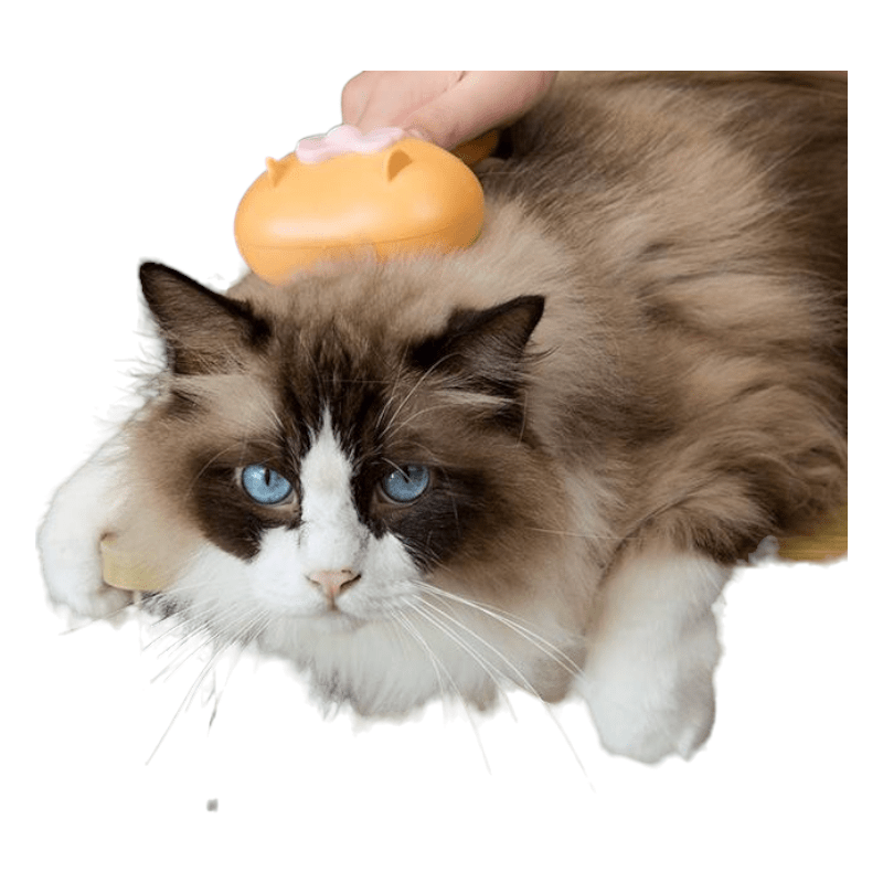 CT3198 1 Pieza De Cepillo Para Mascota