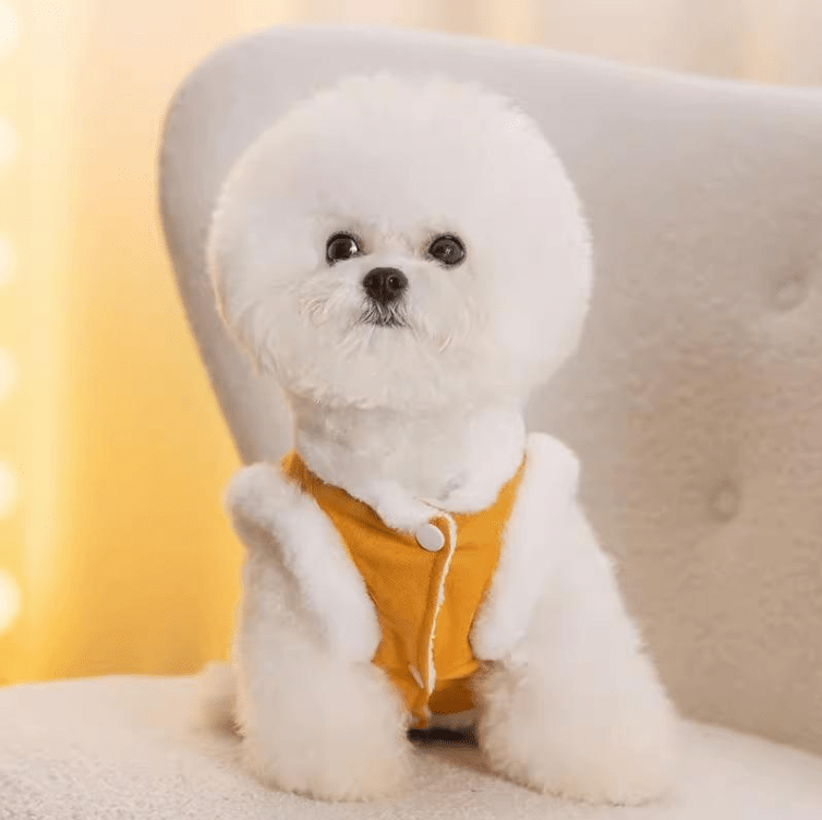 CT3272 1 Pieza De Ropa De Invierno Para Mascota