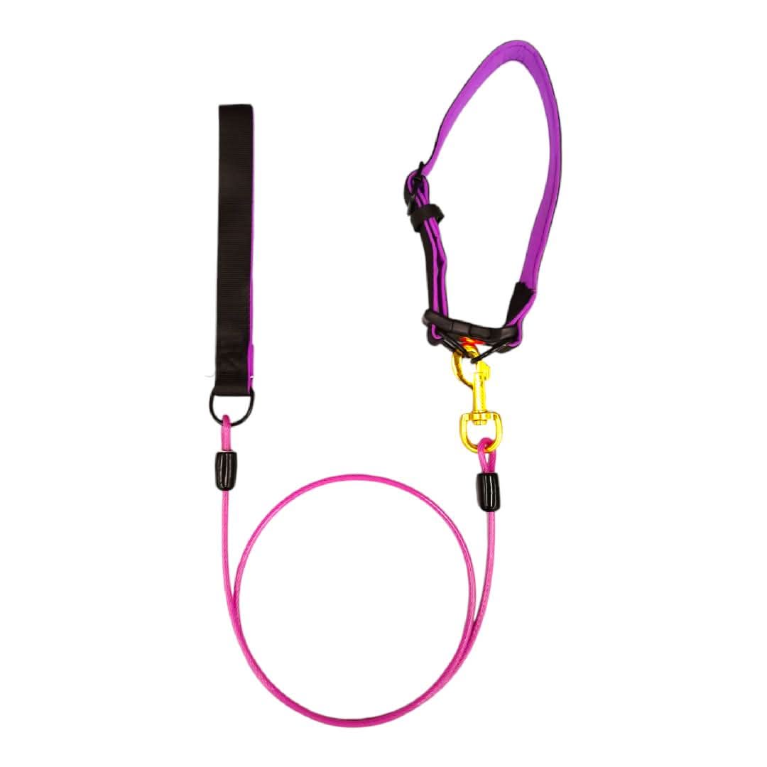 CT3515 1 Pieza De Collar Con Correa Para Mascota