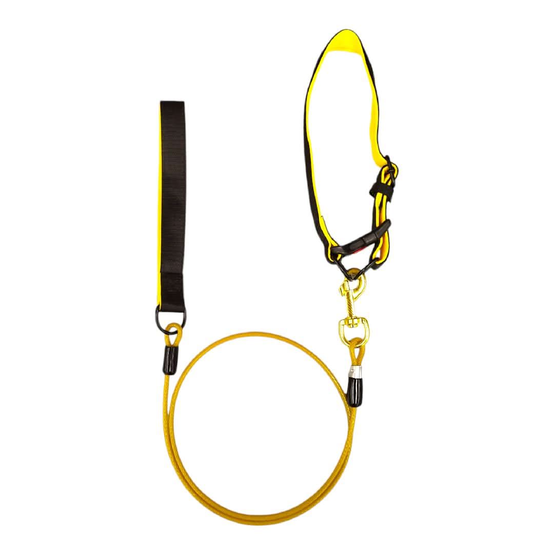 CT3515 1 Pieza De Collar Con Correa Para Mascota