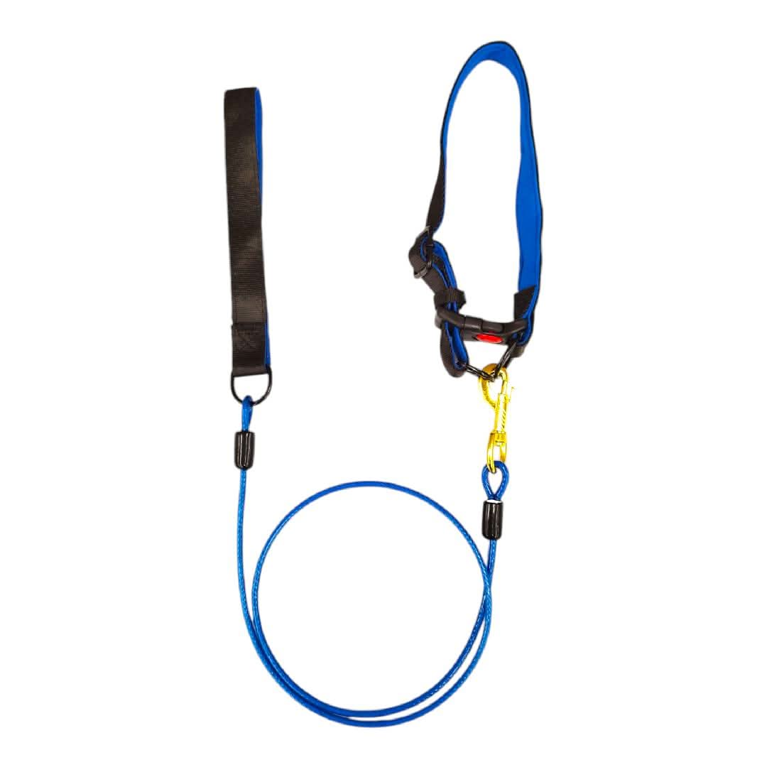 CT3515 1 Pieza De Collar Con Correa Para Mascota