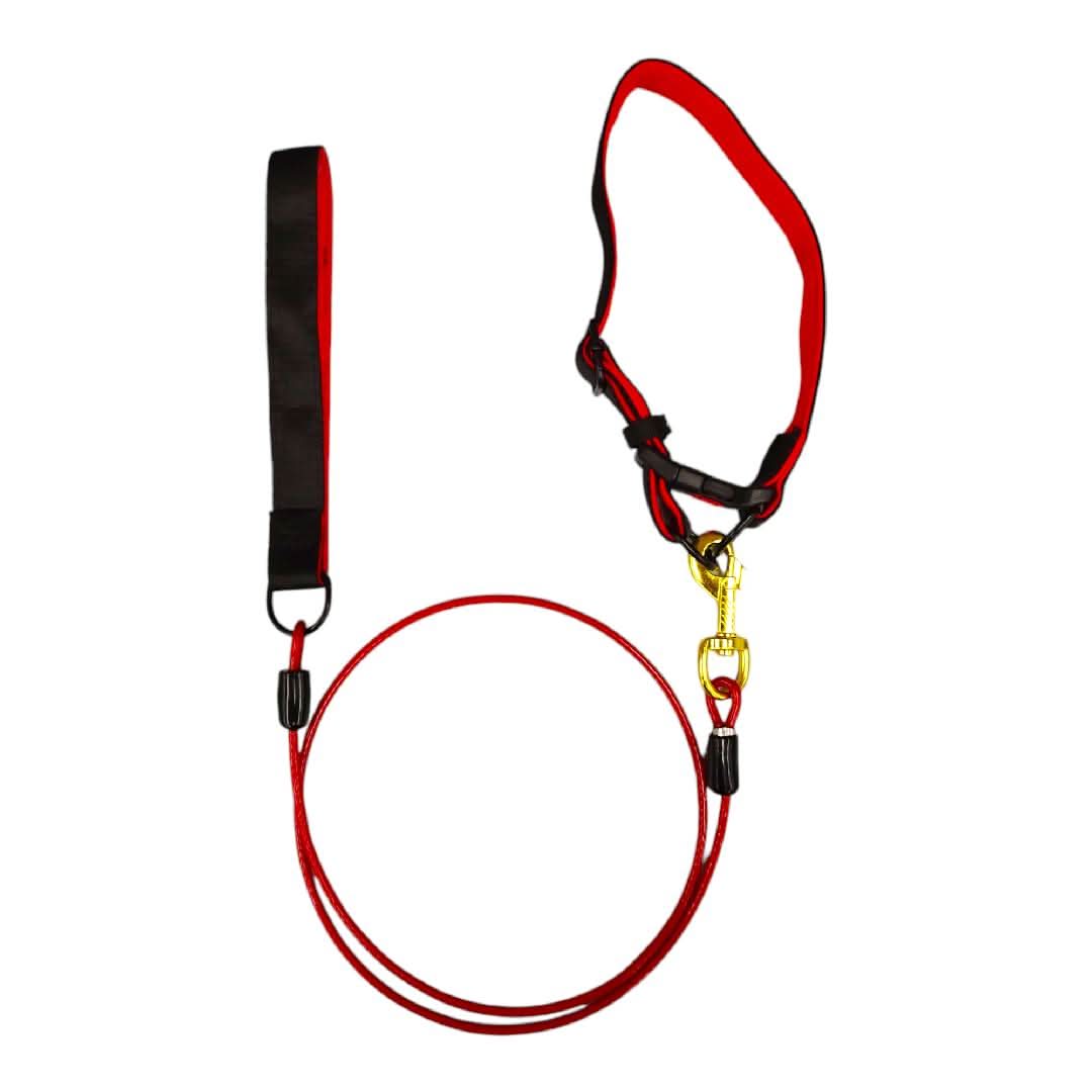 CT3515 1 Pieza De Collar Con Correa Para Mascota