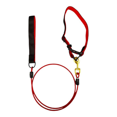 CT3515 1 Pieza De Correa Con Collar Para Mascota