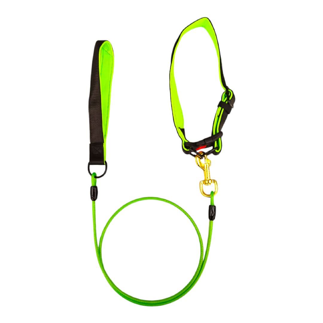 CT3515 1 Pieza De Collar Con Correa Para Mascota