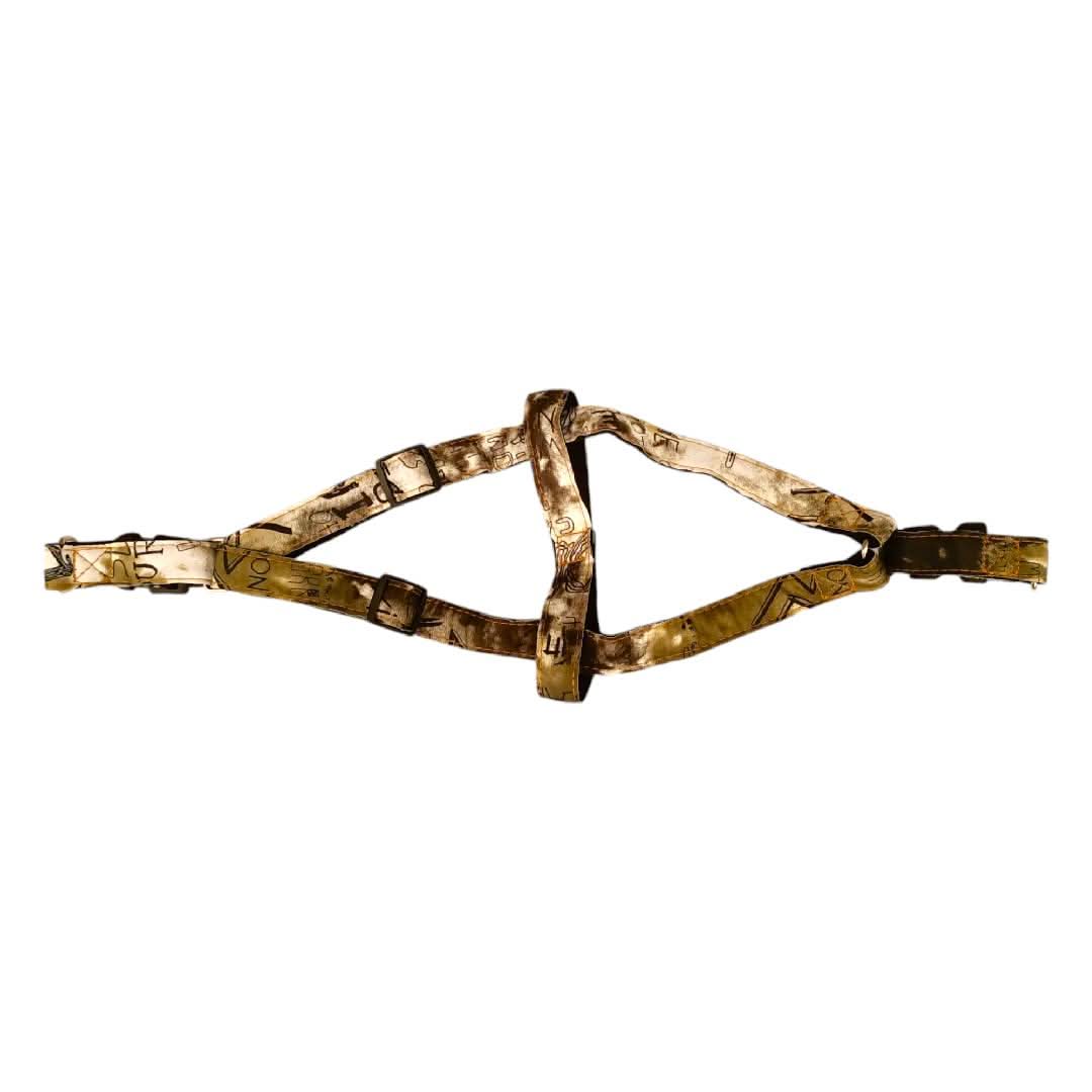 CT3867 1 Pieza De Pechera Con Correa Para Mascota