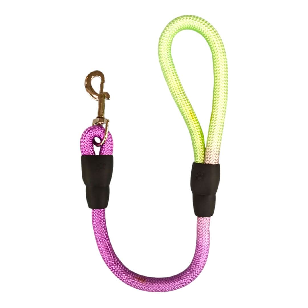 CT3874 1 Pieza De Correa Para Mascota