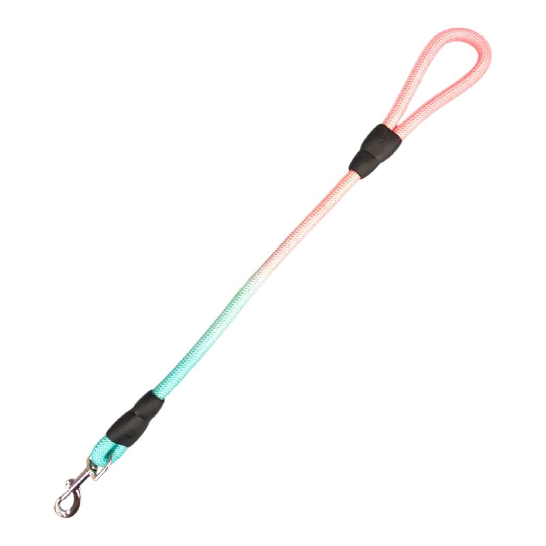CT3874 1 Pieza De Correa Para Mascota