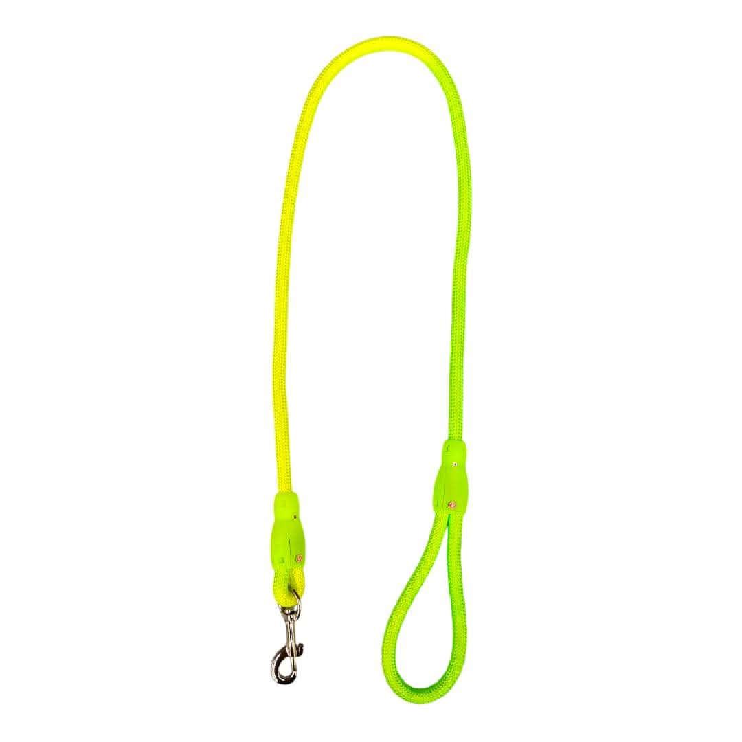 CT3904 1 Pieza De Correa Con Luz Para Mascota