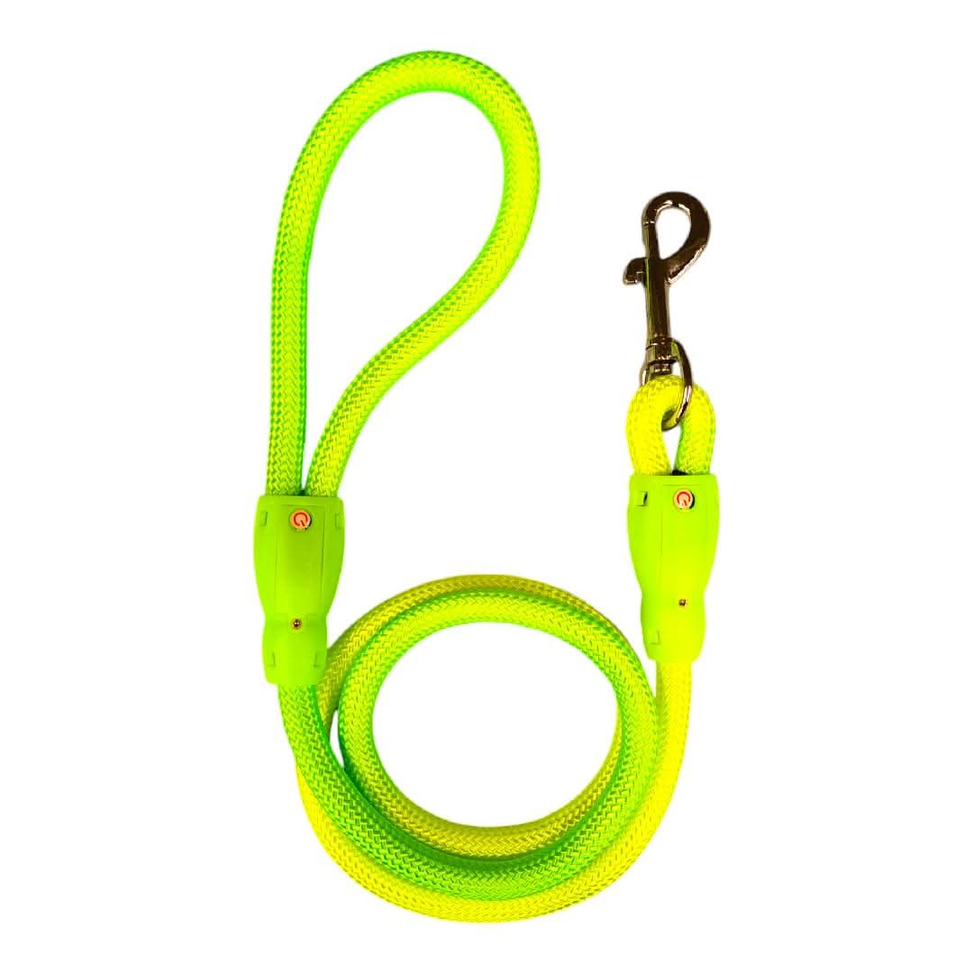 CT3904 1 Pieza De Correa Con Luz Para Mascota