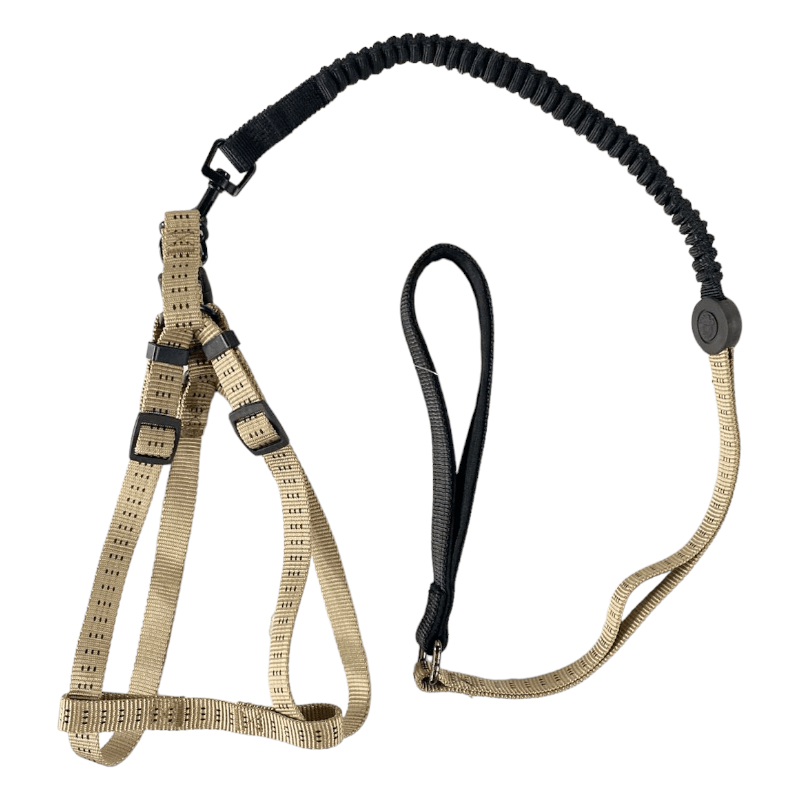 CT3914 1 Pieza De Pechera Con Correa Para Mascotas