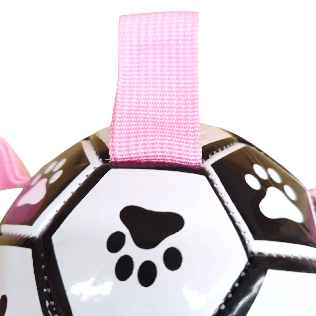 CT4078 1 Pieza De Juguete Balon Para Mascota