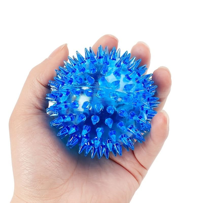CT4097 1 Pieza De Pelota De Juguete Para Mascotas