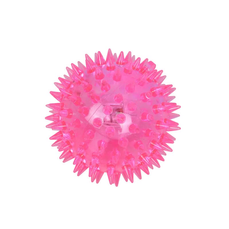 CT4097 1 Pieza De Pelota De Juguete Para Mascotas