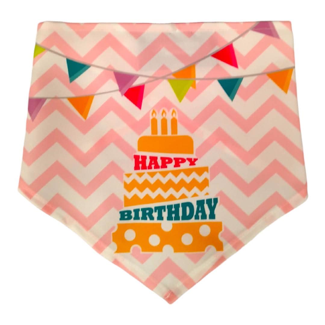 CT4293 1 Pieza De Collar Para Mascota