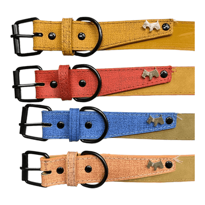 CT4720 1 Pieza De Collar Para Mascota