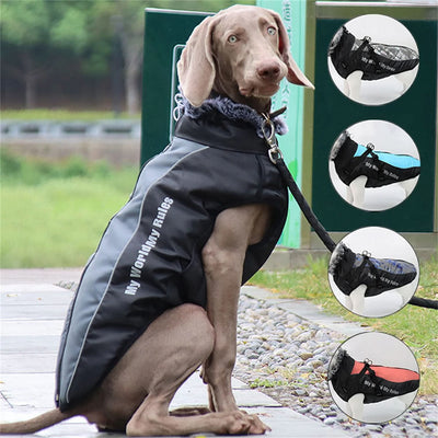 CT4772 1 Pieza De Ropa De Invierno Para Mascota