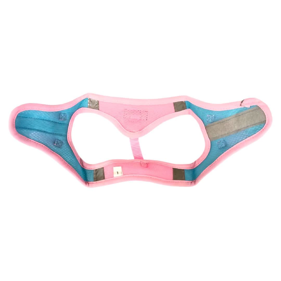 CT5281 1 Pieza De Pechera Con Correa Para Mascota