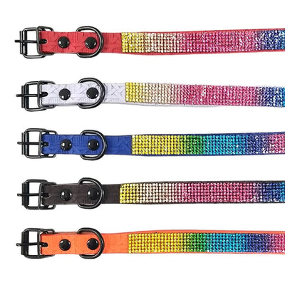 CT5766 1 Pieza De Collar Para Mascota