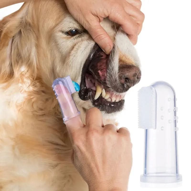 CT5802 1 Pieza De Cepillo Dedal Para Mascota