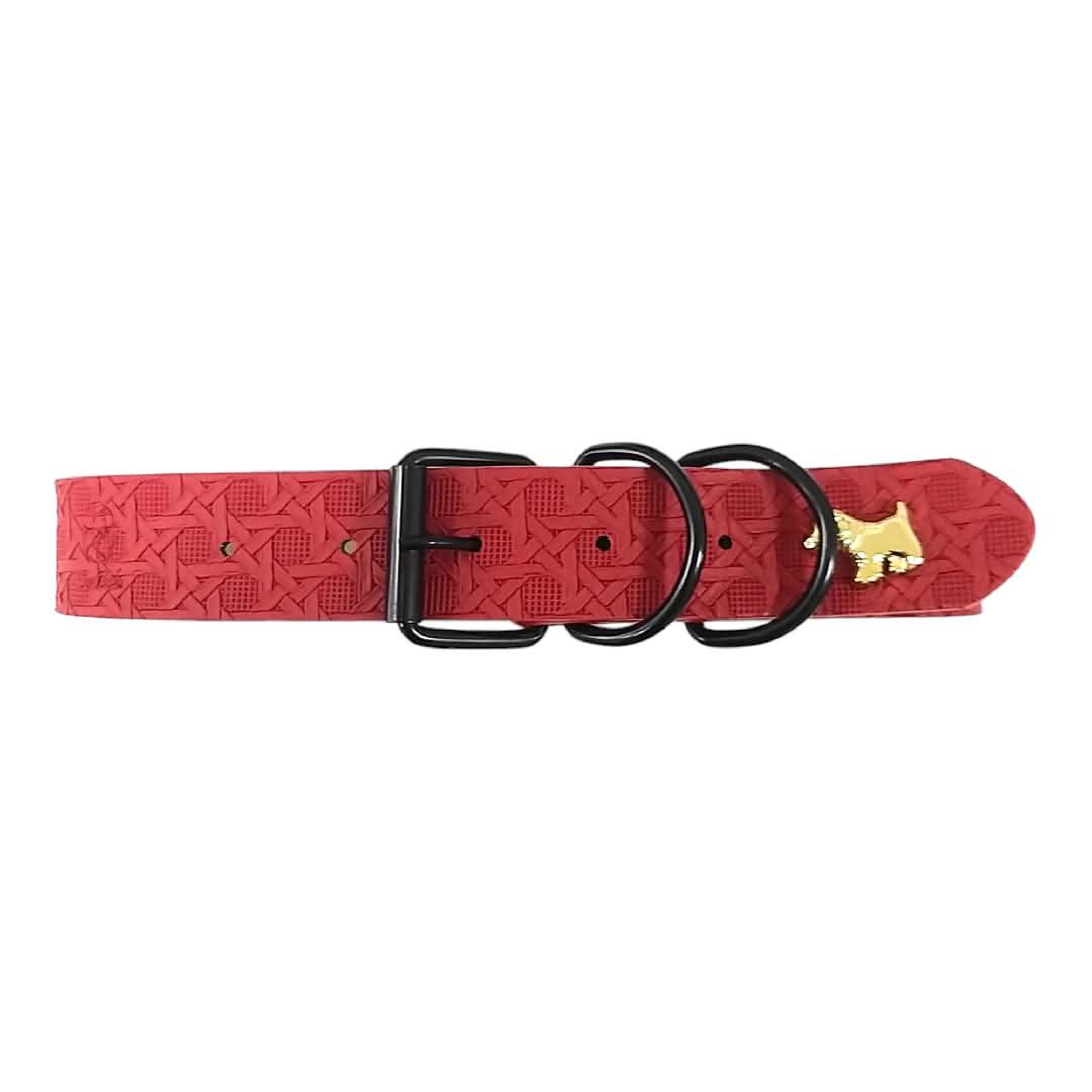 CT5834 1 Pieza De Collar Para Mascota