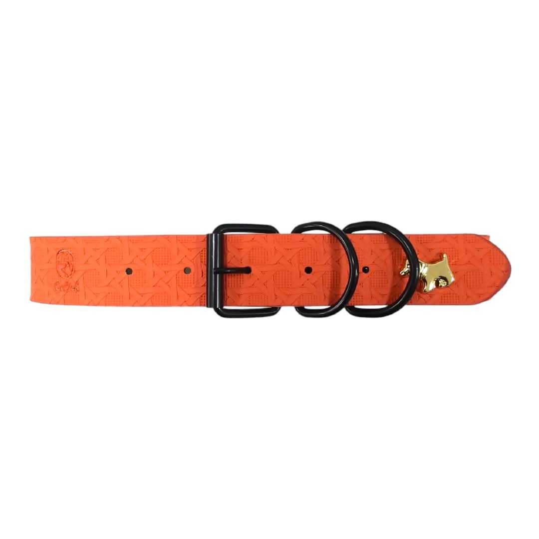 CT5834 1 Pieza De Collar Para Mascota
