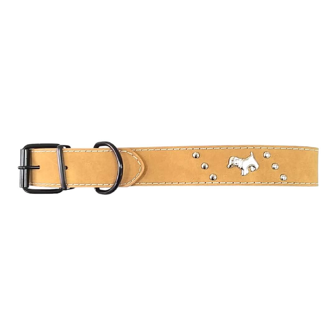 CT5957 1 Pieza De Collar Para Mascota