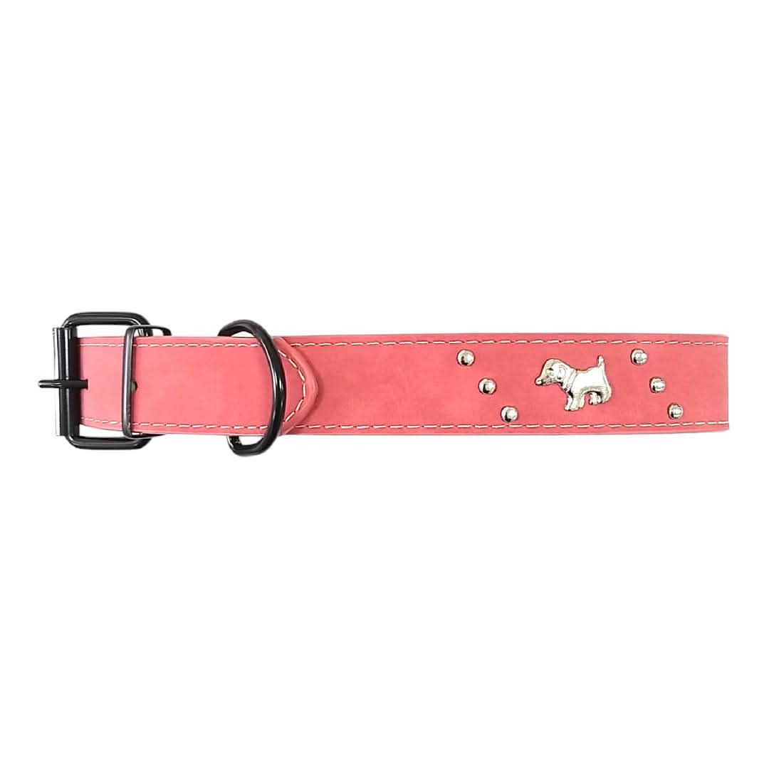 CT5957 1 Pieza De Collar Para Mascota