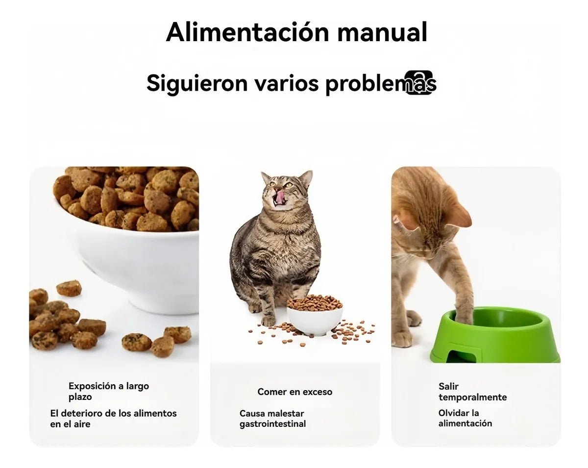 CT6083 1 Pieza Dispensador Electrónico De Comida