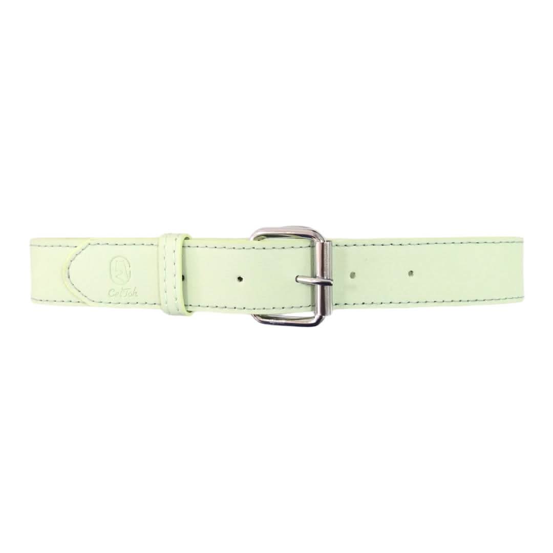 CT6138 1 Pieza De Collar Para Mascota