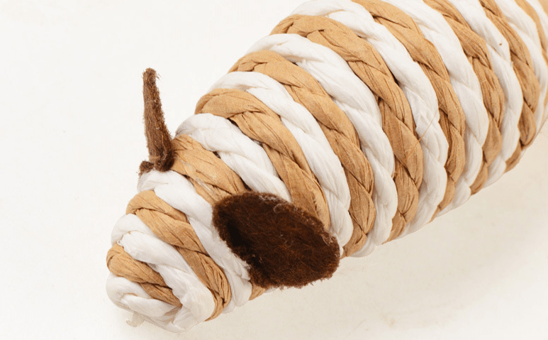 CT6176 1 Pieza De Juguete Para Mascota