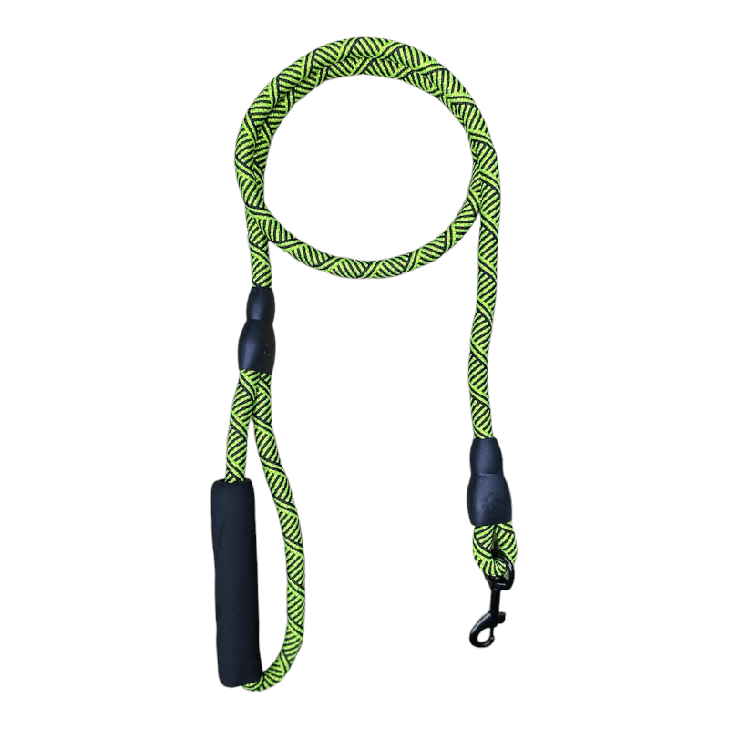 CT6250 1 Pieza De Correa Para Mascota
