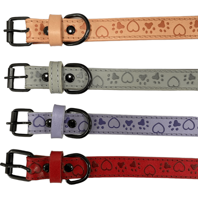 CT6343 1 Pieza De Collar Para Mascota