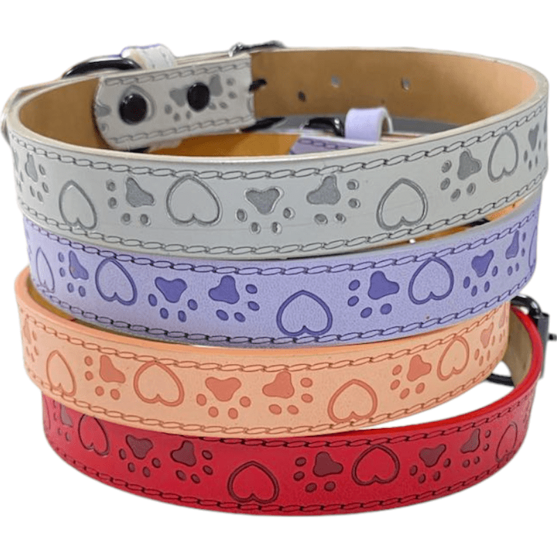 CT6343 1 Pieza De Collar Para Mascota