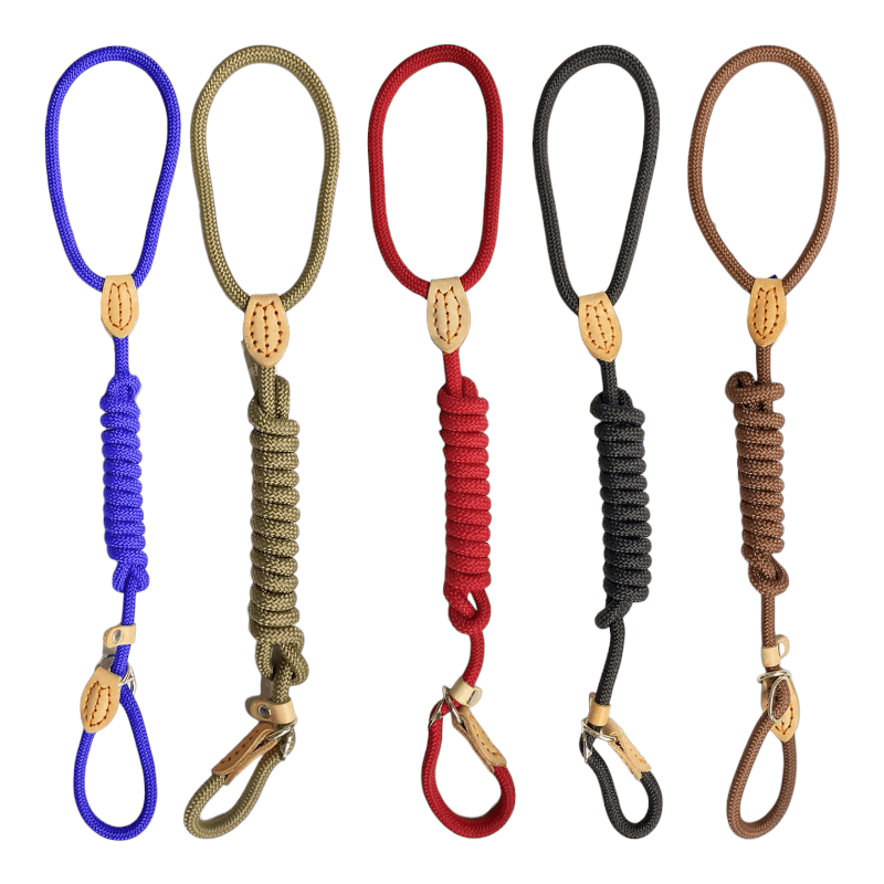 CT6526 1 Pieza De Correa Entrenamiento Para Mascota