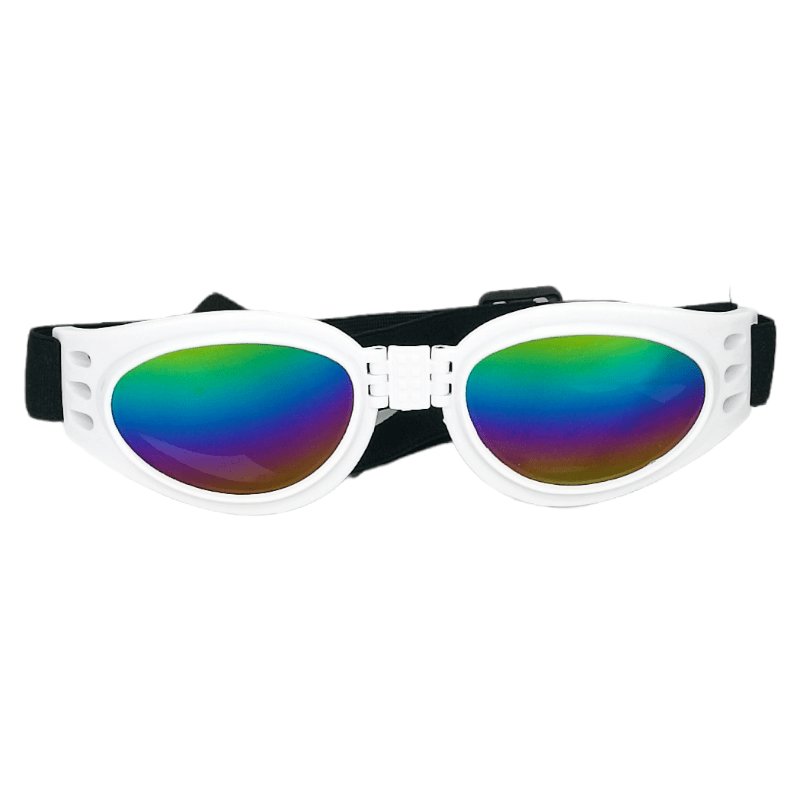 CT6855 1 Pieza Gafas Para Mascota De Lentes Tintados