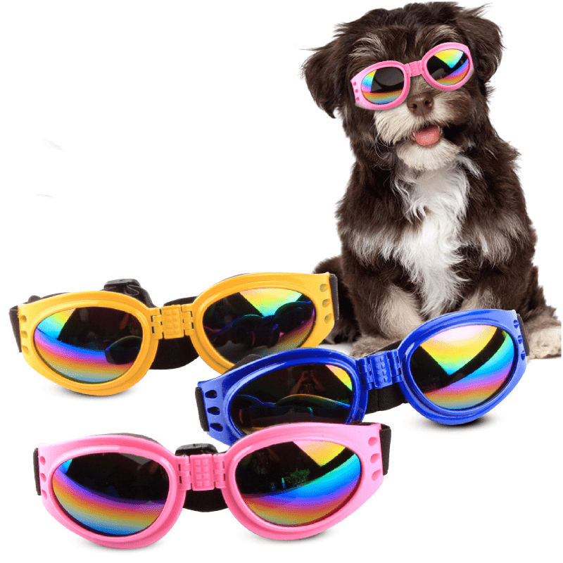 CT6855 1 Pieza Gafas Para Mascota De Lentes Tintados