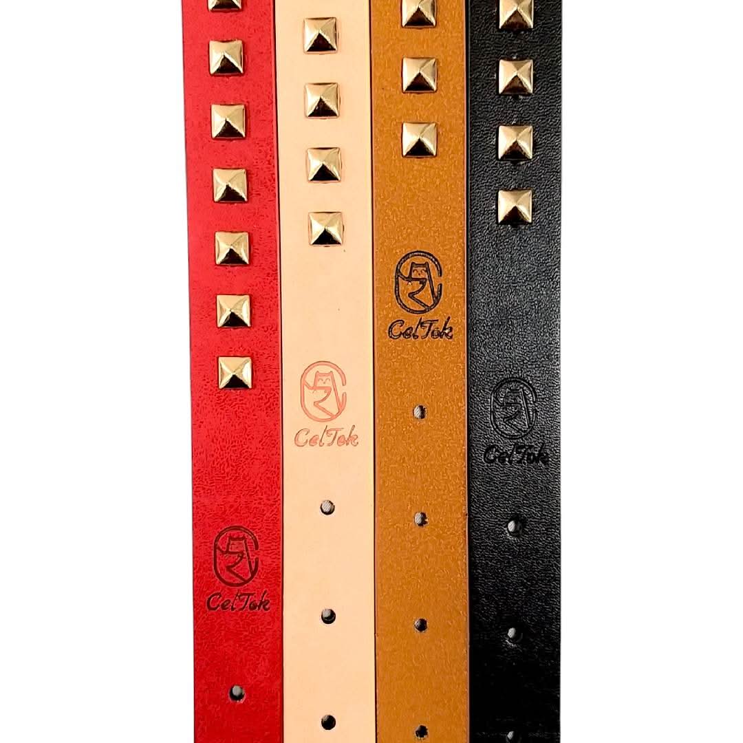 CT6877 1 Pieza De Collar Para Mascota