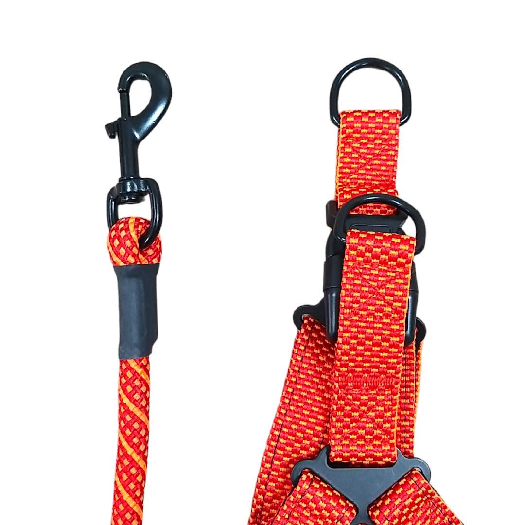 CT6930 1 Pieza De Pechera Con Correa Para Mascota