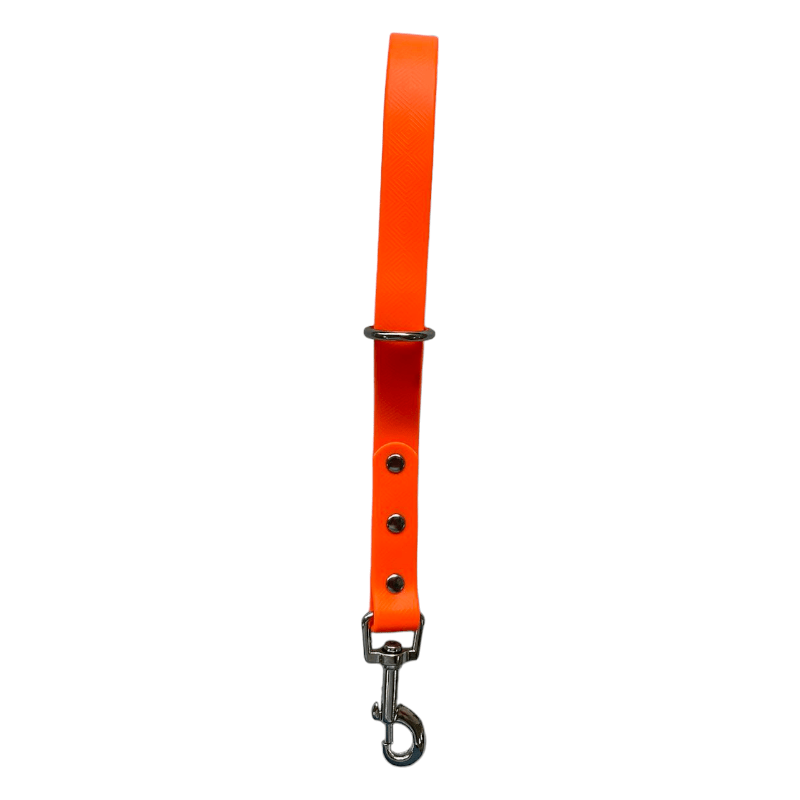 CT6969 1 Pieza De Correa Para Mascota