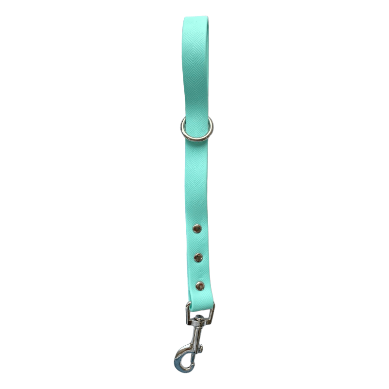 CT6969 1 Pieza De Correa Para Mascota