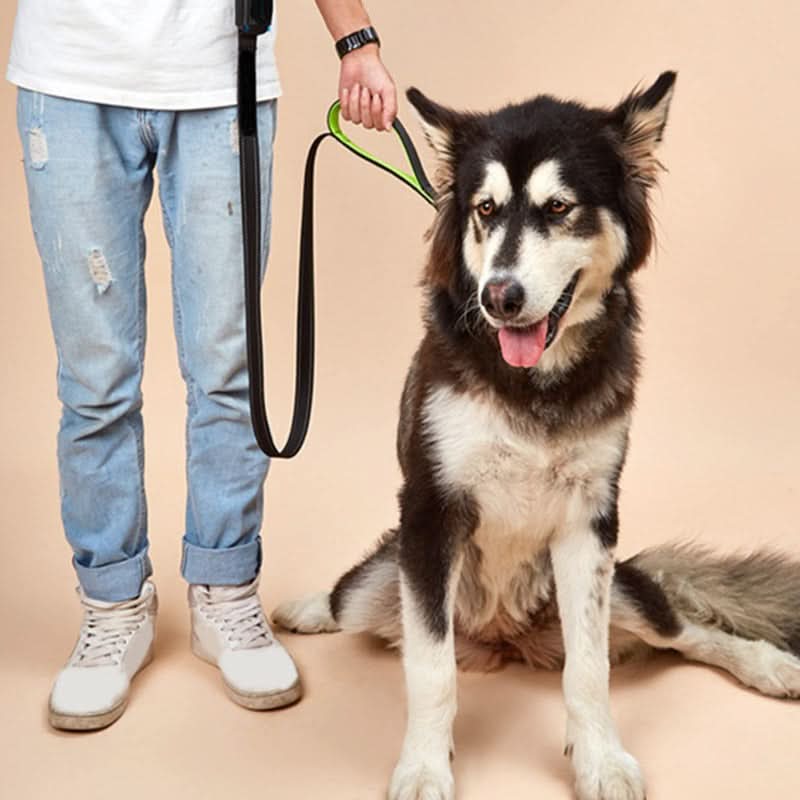 CT7654 1 Pieza De Correa Para Mascota