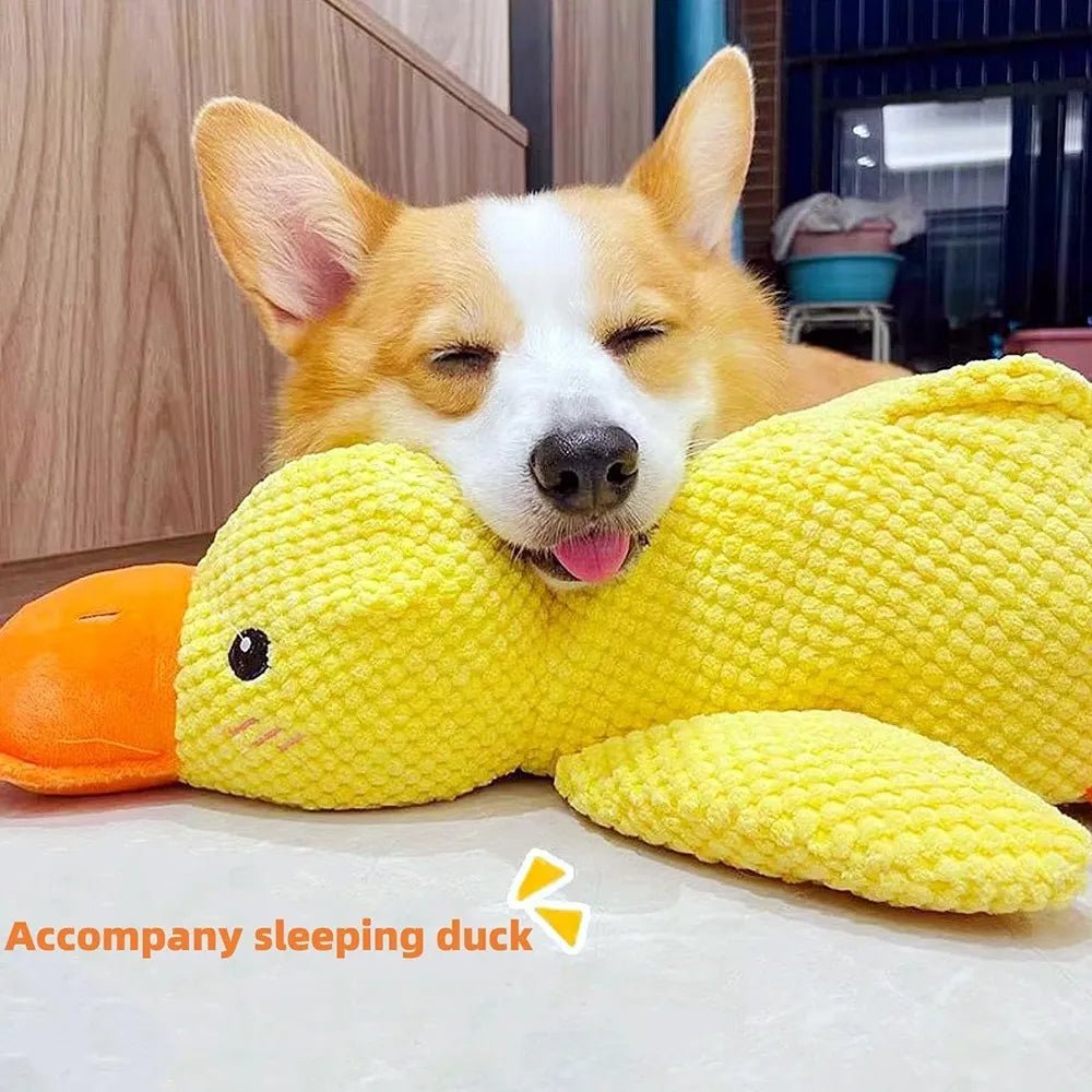 CT7996 1 Pieza De Juguete Para Mascota