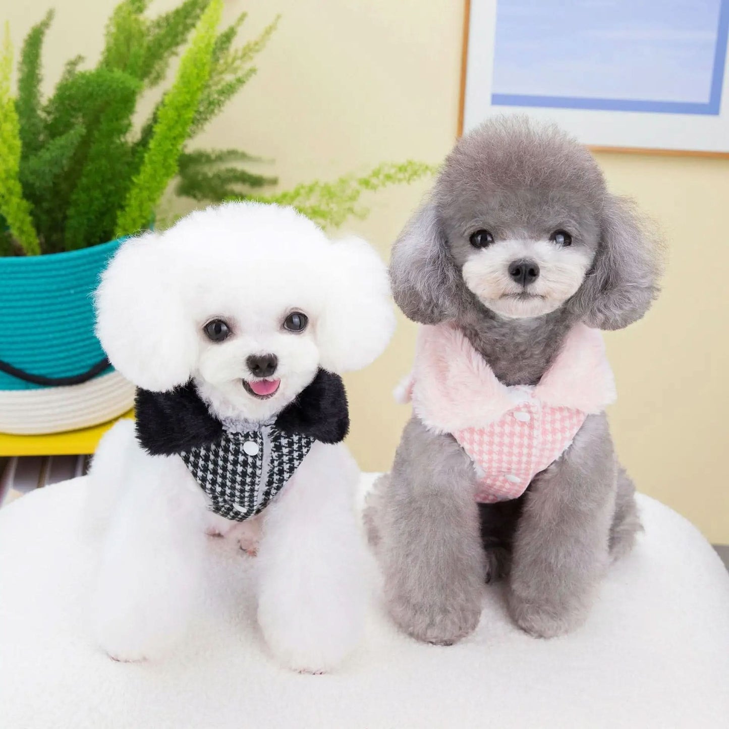 CT8130 1 Pieza De Ropa Para Mascota