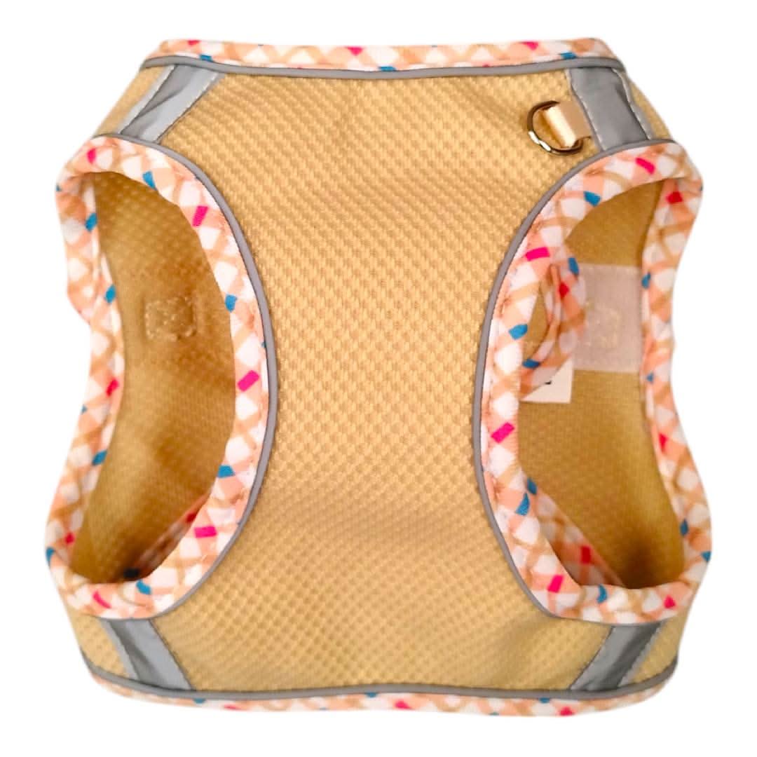 CT8170 1 Pieza De Pechera Con Correa Para Mascota